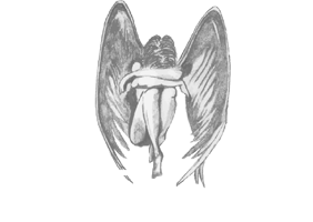 No Fear Ltd